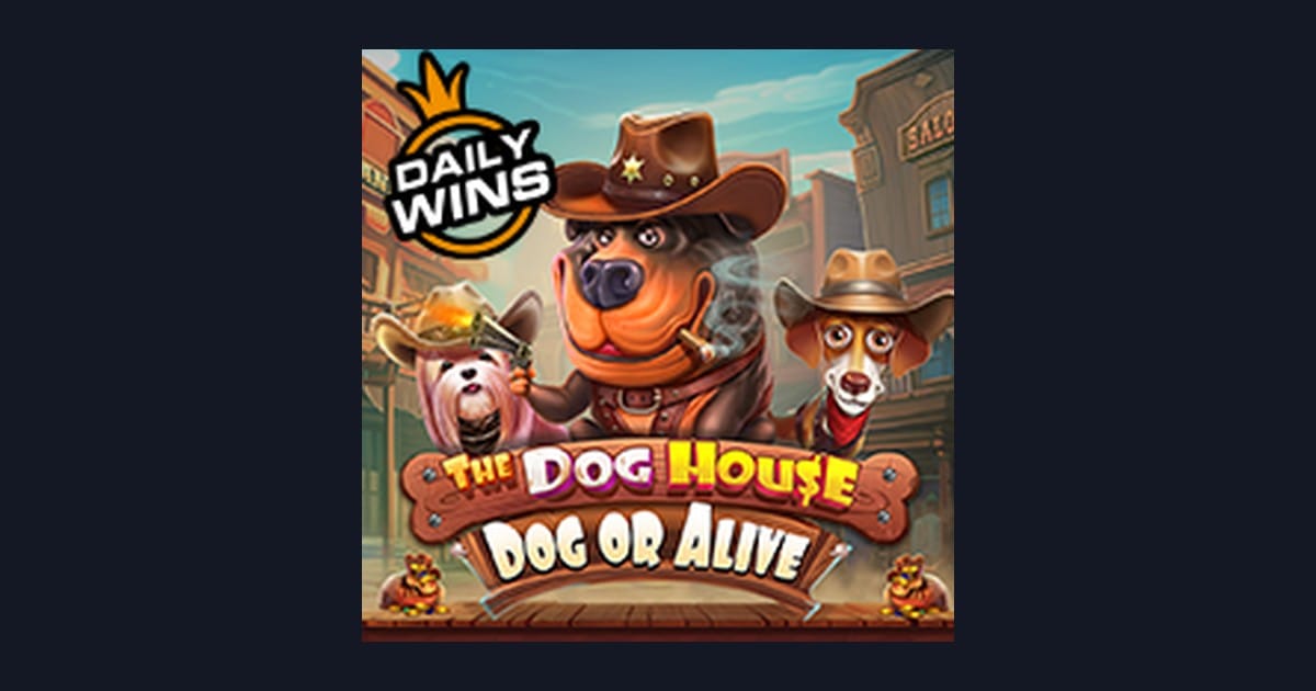Rahasia Menang The Dog House Dog Or Alive Slot Gacor Hari Ini