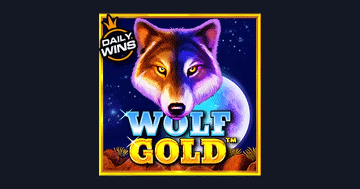 Jam Gacor Terbaru Wolf Gold: Tips Menang Slot High Risk Payout Besar